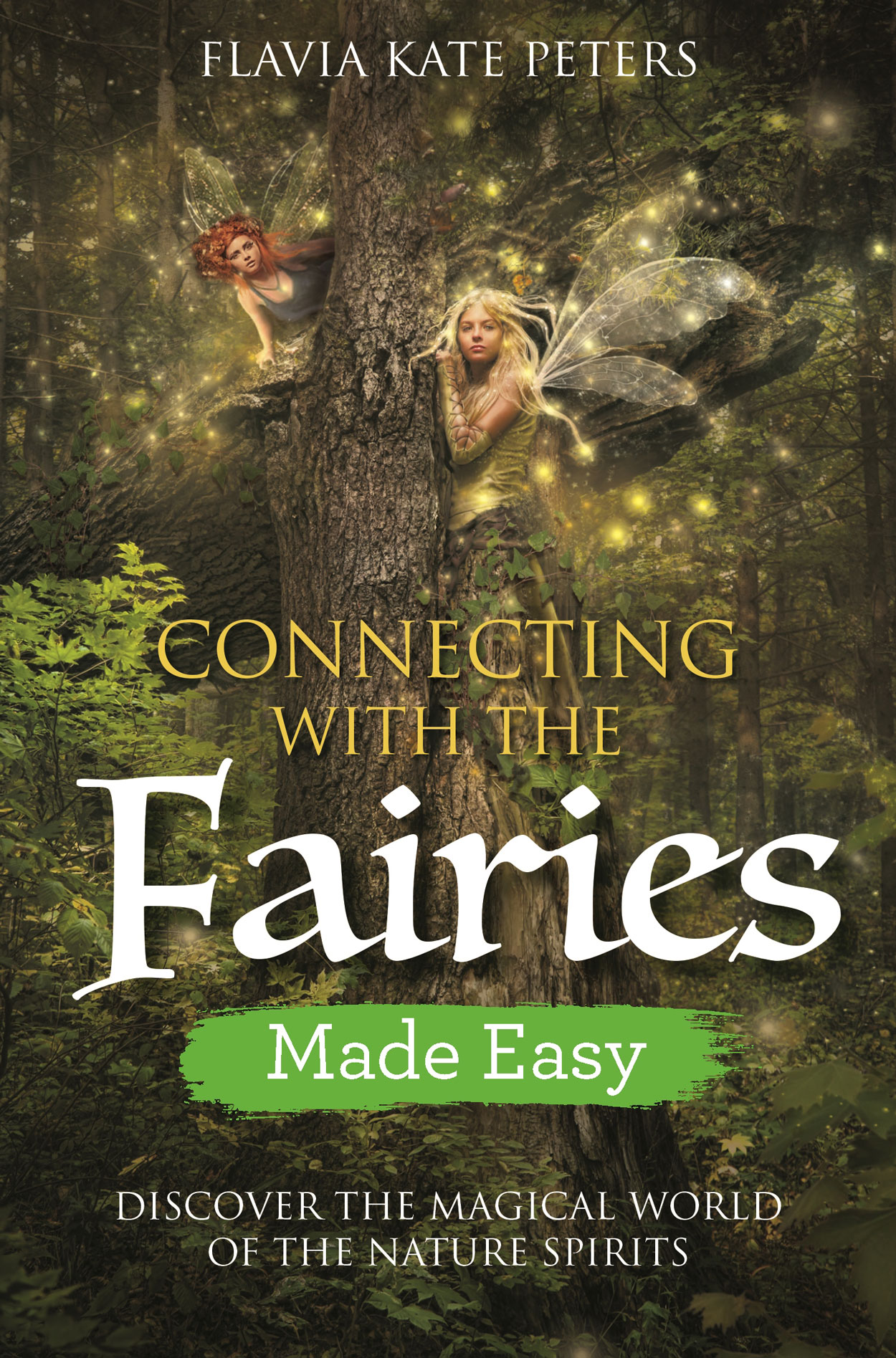 Praise for Fairies Flavia has a natural and intuitive connection to the faery - photo 1