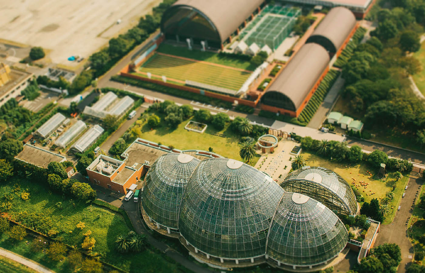 YUME NO SHIMA TROPICAL GREENHOUSE DOME KOTO TOKYO SPORTS CULTURE MUSEUM - photo 8