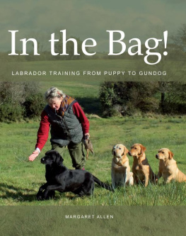 Margaret Allen In the Bag!: Labrador Training from Puppy to Gundog