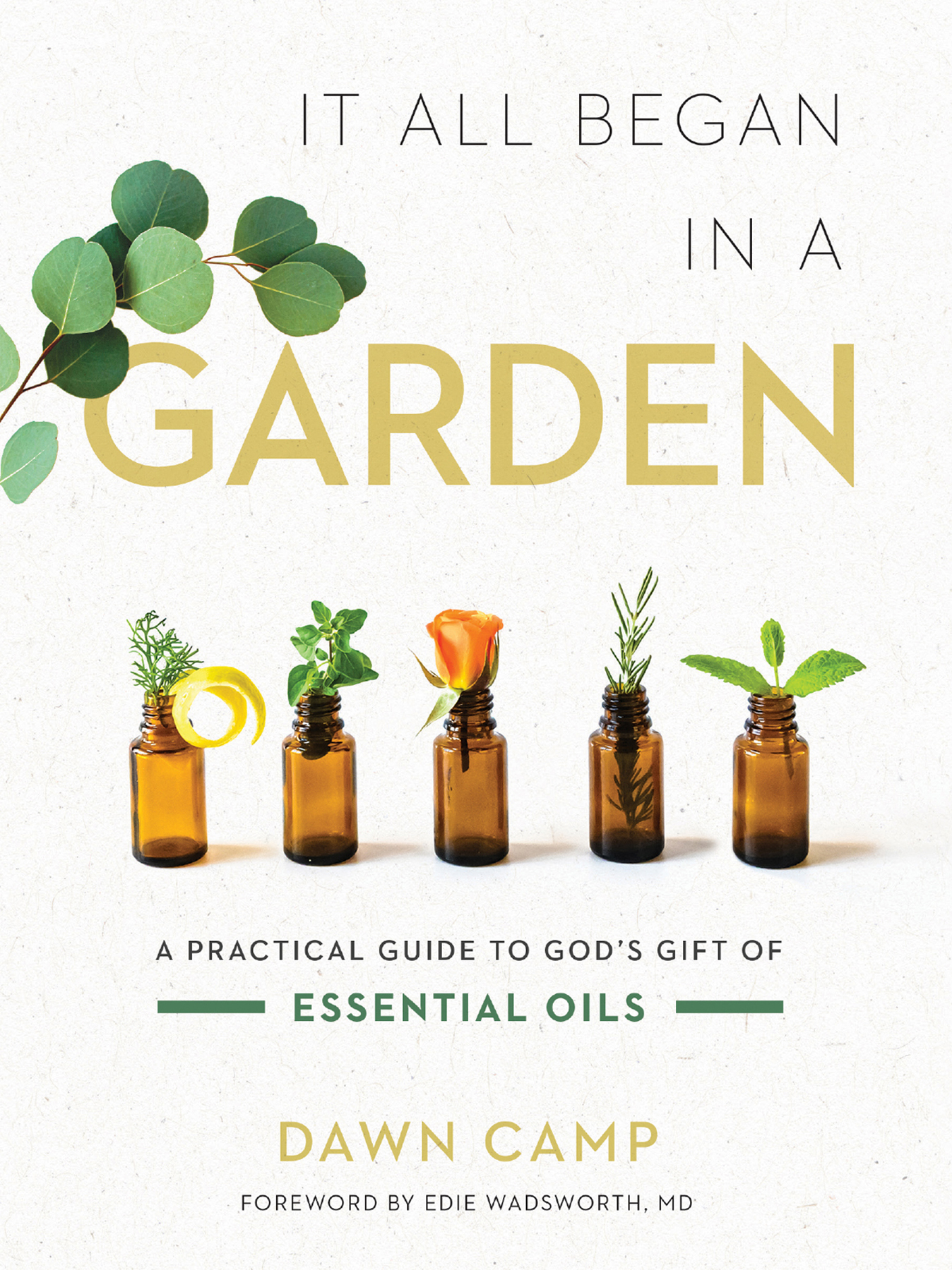 It All Began in a Garden A Practical Guide to Gods Gift of Essential Oils - image 1