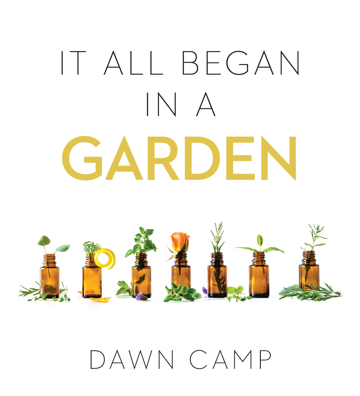 It All Began in a Garden A Practical Guide to Gods Gift of Essential Oils - image 2