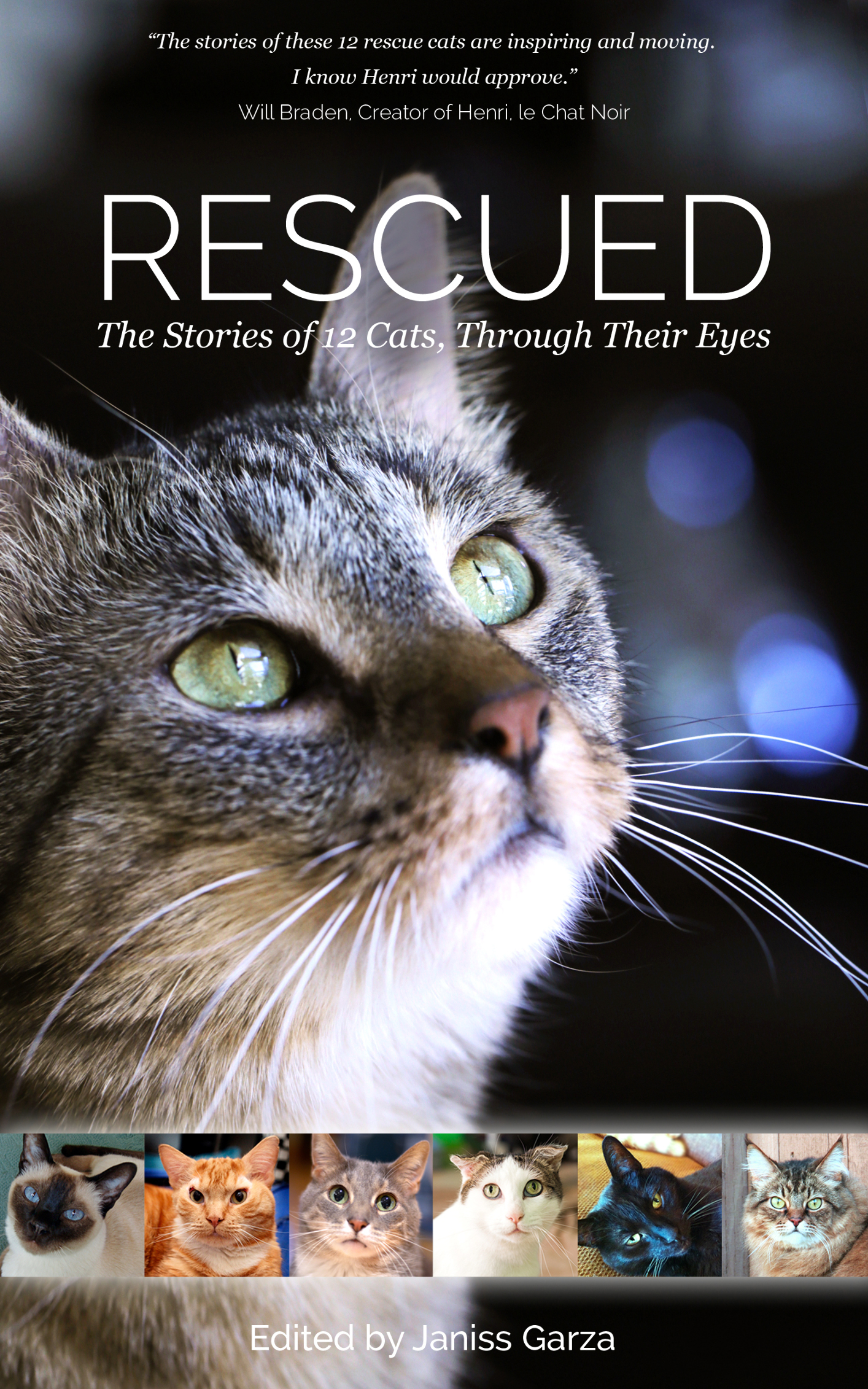 Table of Contents Rescued The Stories of 12 Cats Through Their Eyes Edited - photo 1