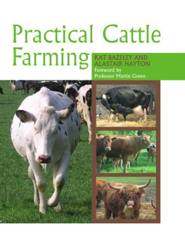 Kat Bazeley Practical Cattle Farming