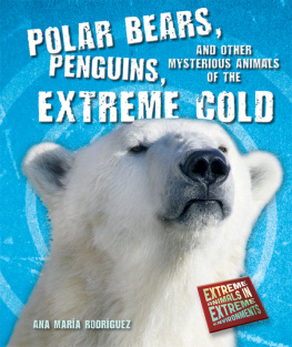 Ana María Rodríguez - Polar Bears, Penguins, and Other Mysterious Animals of the Extreme Cold