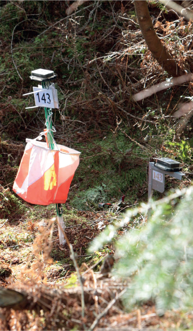 A control point with a code number and electronic box to register each visit - photo 5