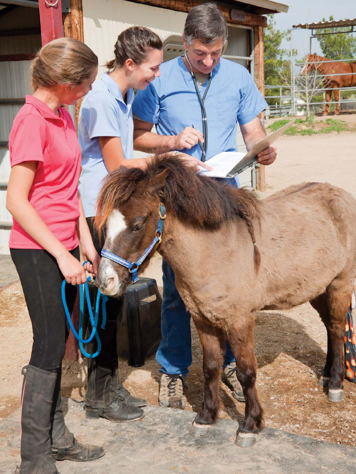 PET POINTERS Before buying a mini have a veterinarian examine the horse to - photo 11