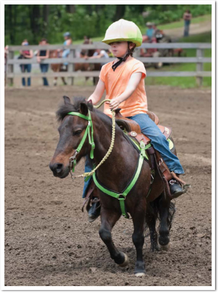 Some miniature horse shows have special competitions for children From Head - photo 7