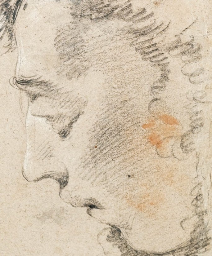 Detail Head of Giulio Contarini in three-quarter profile after Alessandro - photo 3