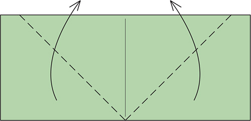 Valley fold the sides up to lie along the center crease Turn over - photo 17