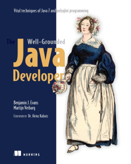 Benjamin J Evans The Well-Grounded Java Developer: Vital techniques of Java 7 and polyglot programming