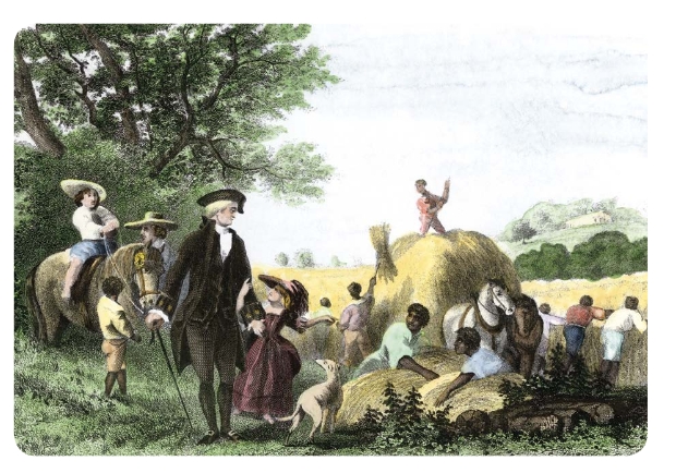 George Washington is shown walking through a field with his slaves in the - photo 3