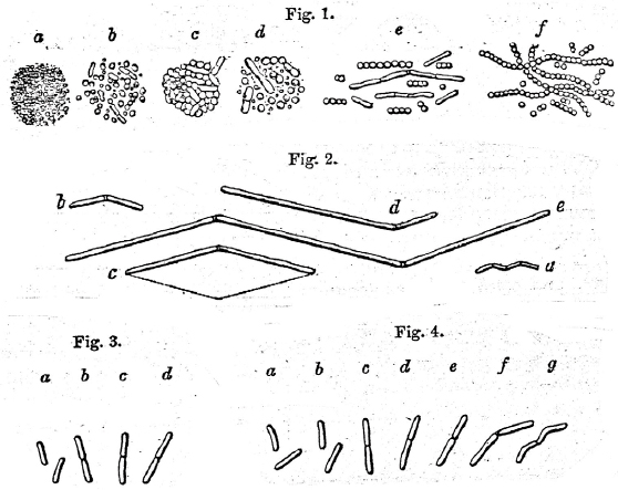 This visual explanation of germ theory is from an 1868 lecture given at the - photo 2