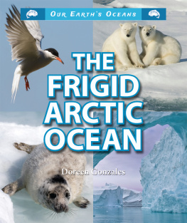 Doreen Gonzales - The Frigid Arctic Ocean