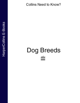 Collins - Dog Breeds