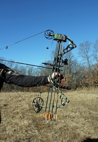 Compound bows are the most popular type of bow now The choice of your bow - photo 23