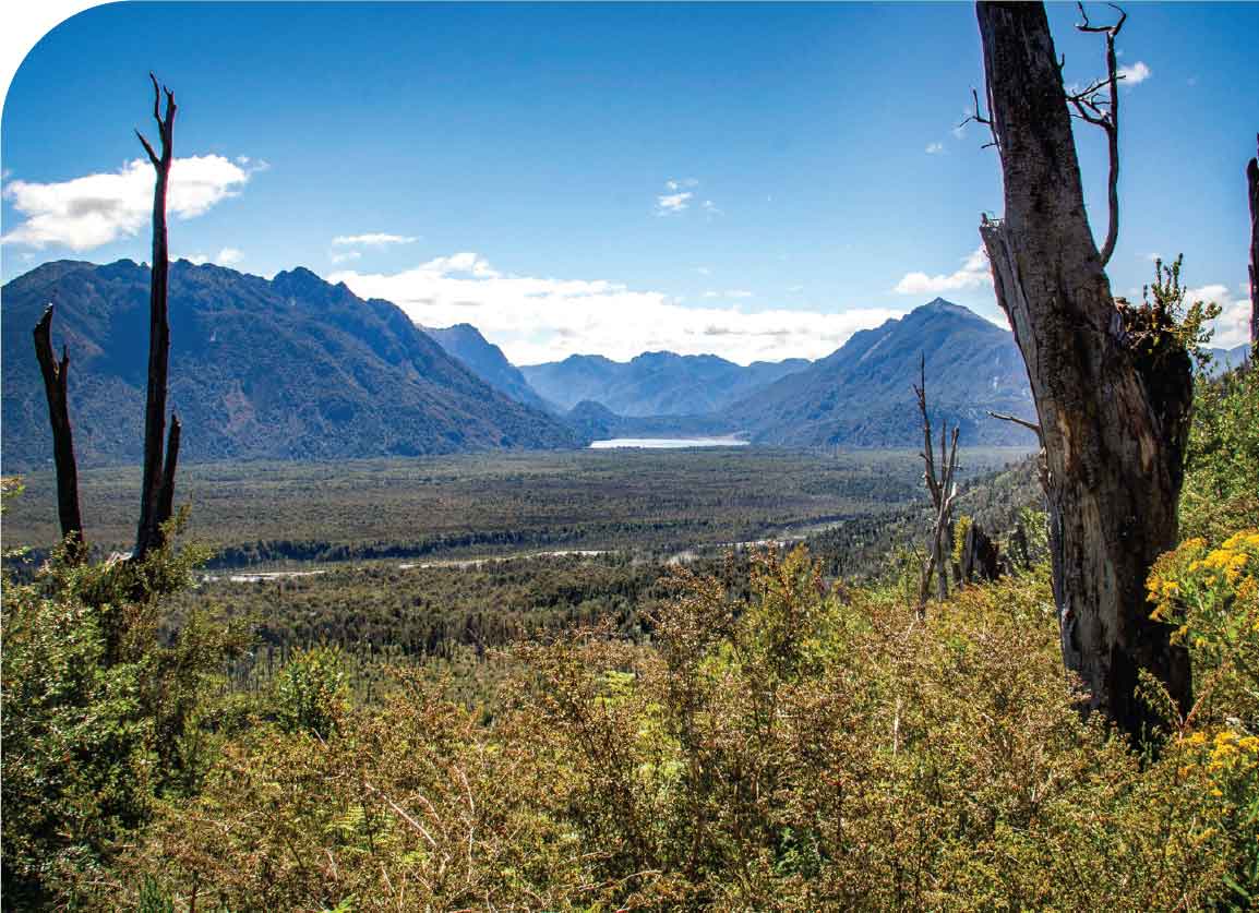 A private initiative pioneered by conservationist Doug Tompkins Parque Pumaln - photo 14