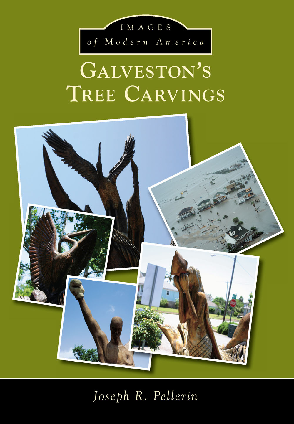 IMAGES of Modern America GALVESTONS TREE CARVINGS ON THE FRONT COVER - photo 1