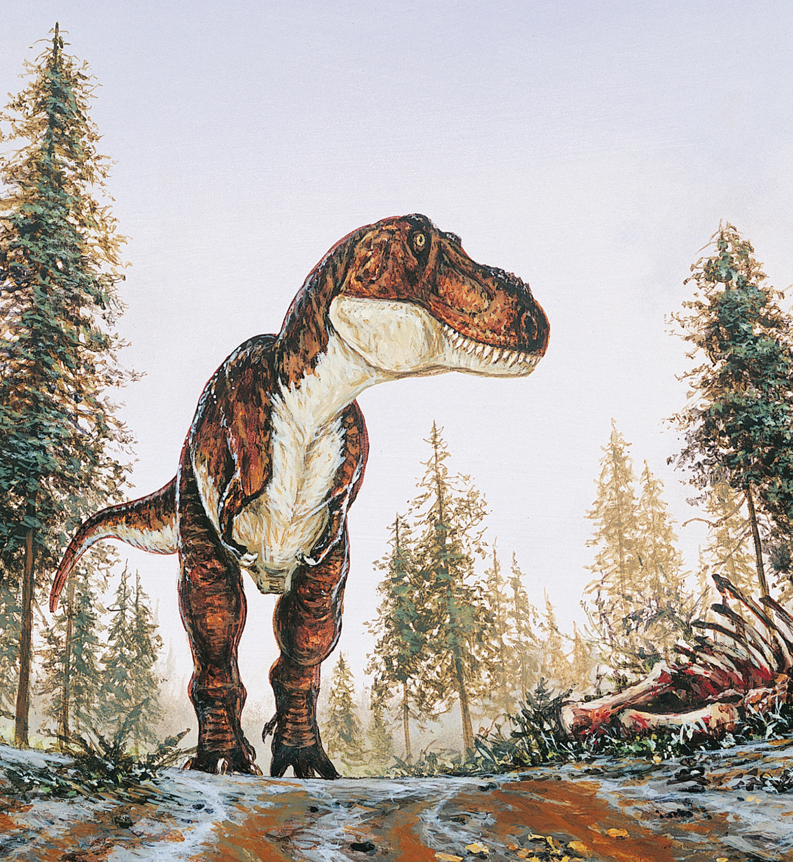 T rex as Scavenger The time is 66 million years ago The place is the vast - photo 10