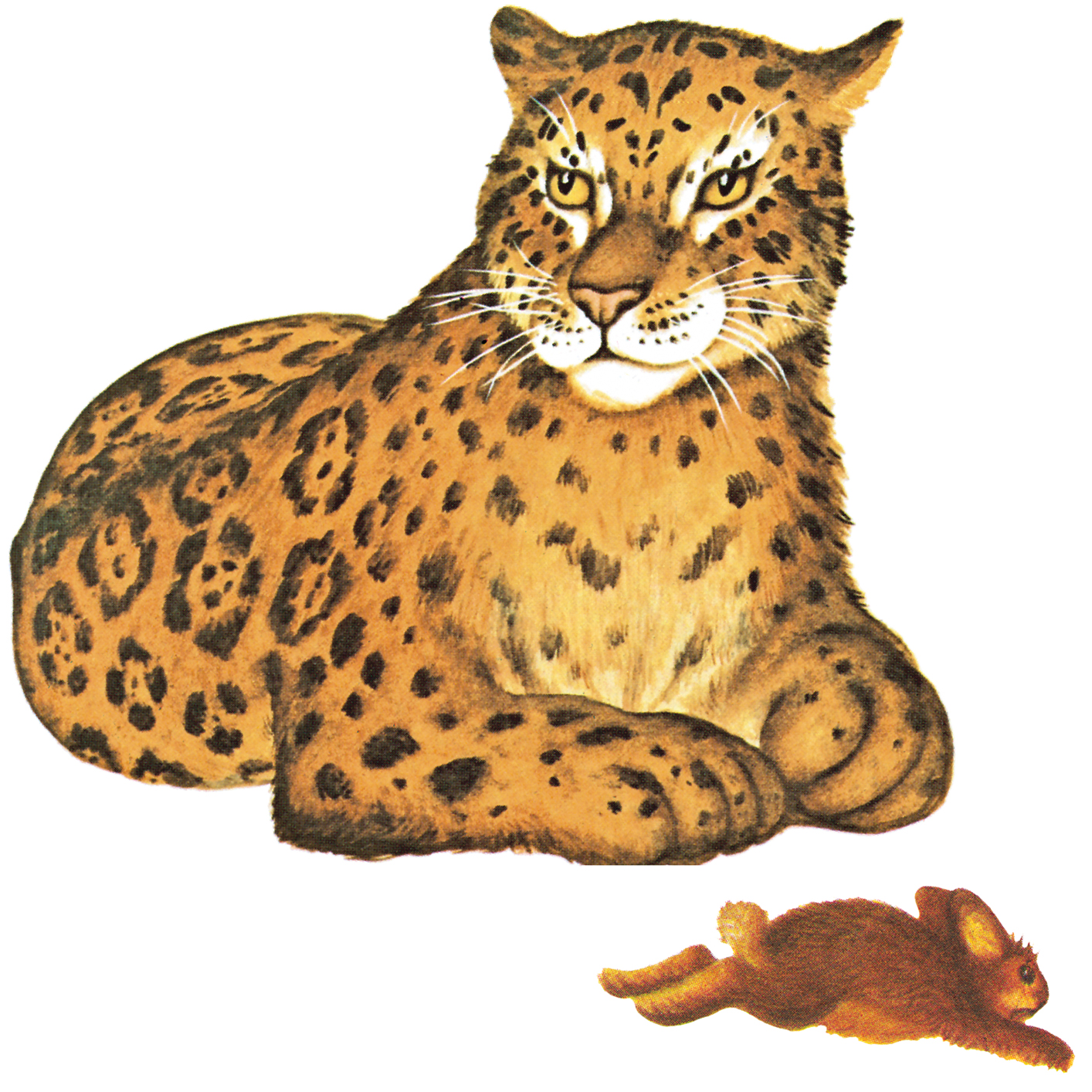Jj for jaguar - photo 26
