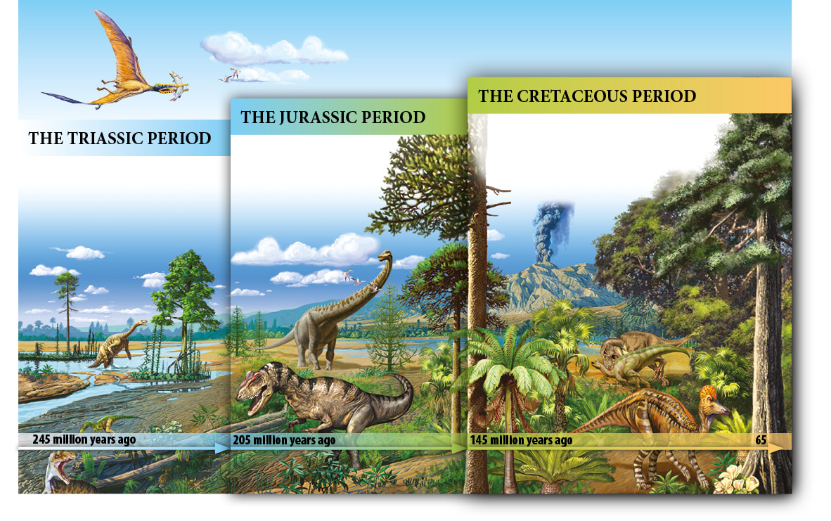 In the history of the Earth the age of the dinosaurs is known as the Mesozoic - photo 7