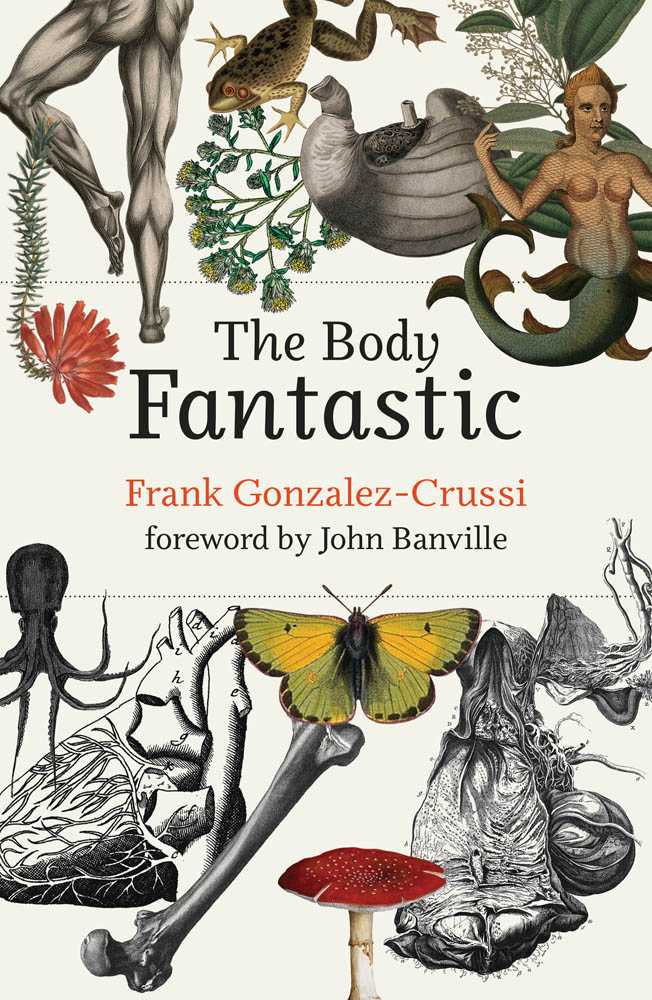 The Body Fantastic The Body Fantastic Frank Gonzalez-Crussi The MIT Press - photo 1