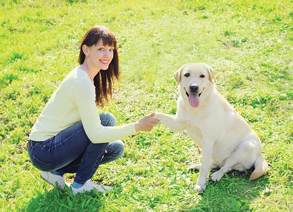 Trust between owner and dog is an all-important essential You do NOT remember - photo 1