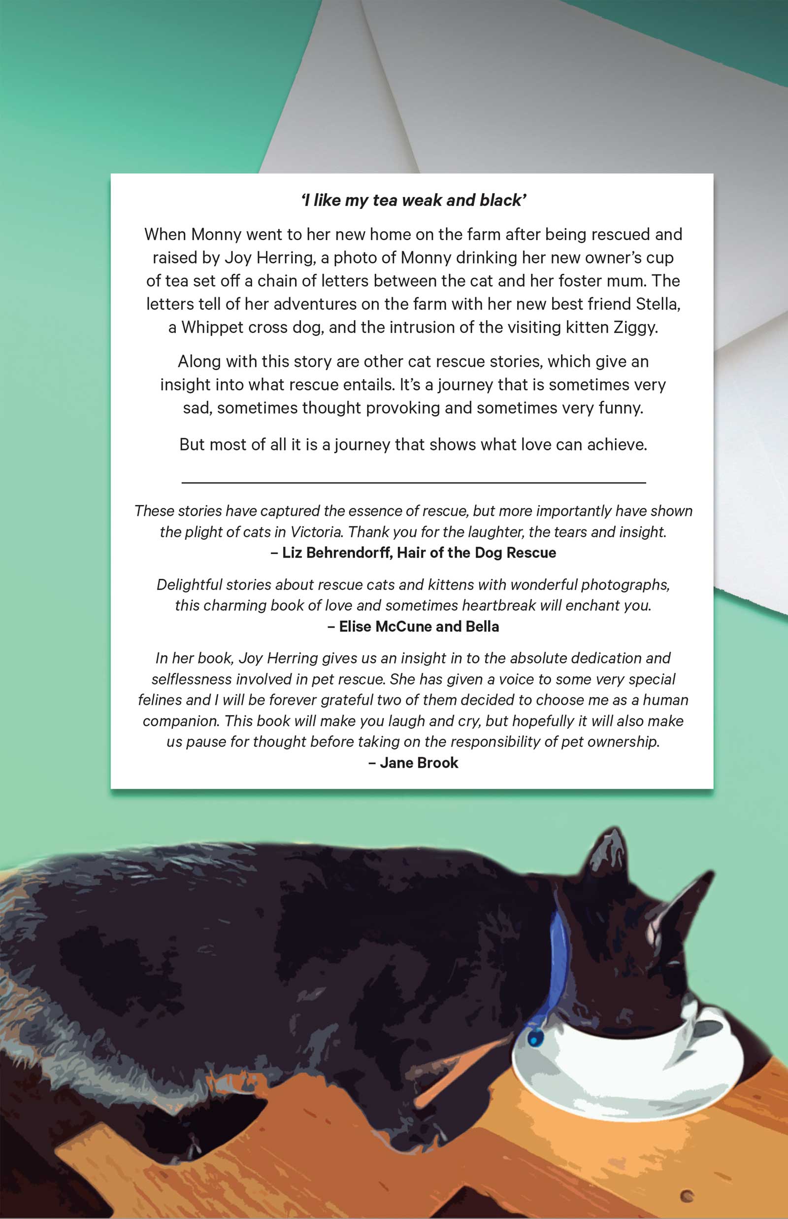 Letters from a Little Black Cat and other rescue stories - image 1