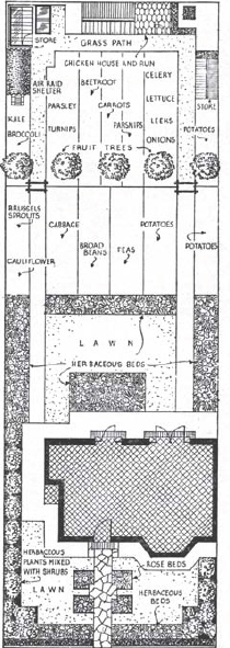 A typical 1930s garden adapted to wartime conditions with the lawn under - photo 8