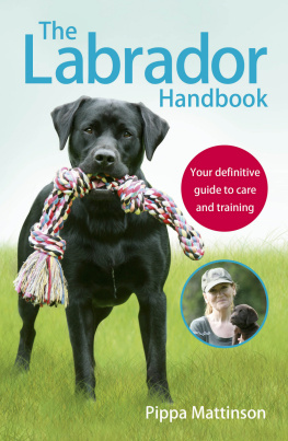 Pippa Mattinson - The Labrador Handbook: The definitive guide to training and caring for your Labrador