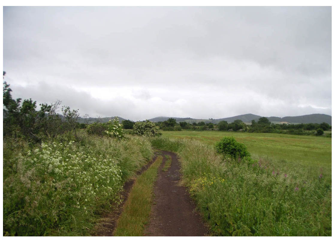 Camino de Santiago - photo 11