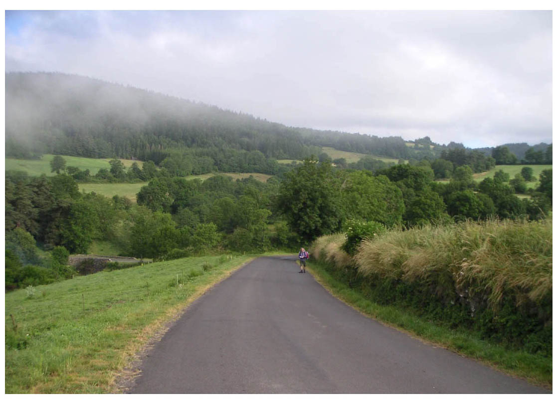 Camino de Santiago - photo 18