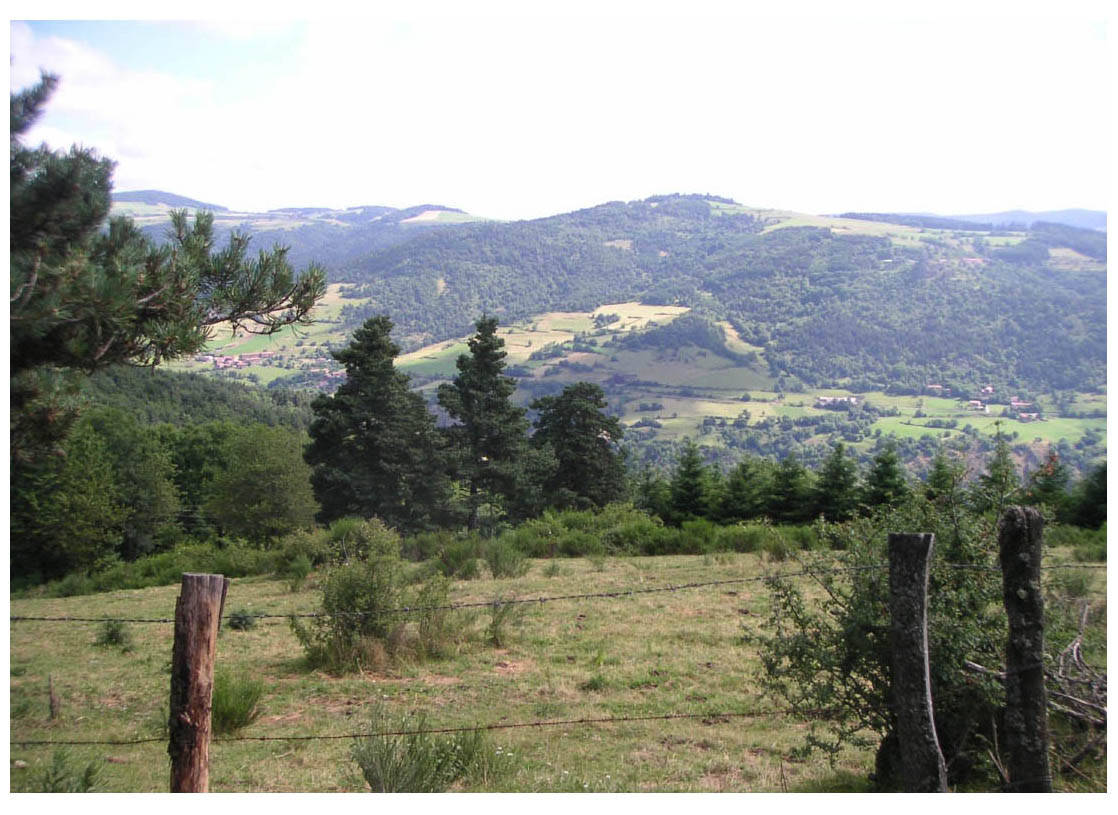 Camino de Santiago - photo 22