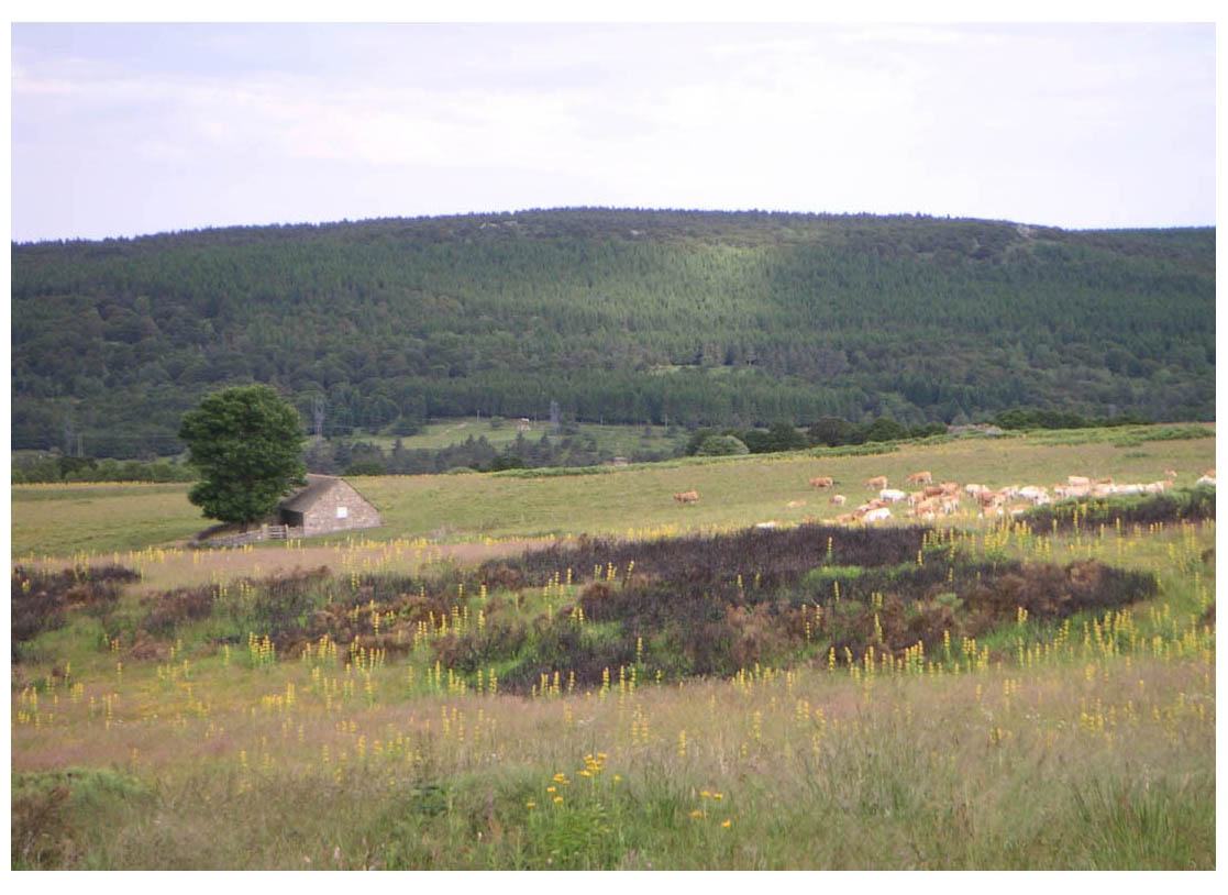 Camino de Santiago - photo 27