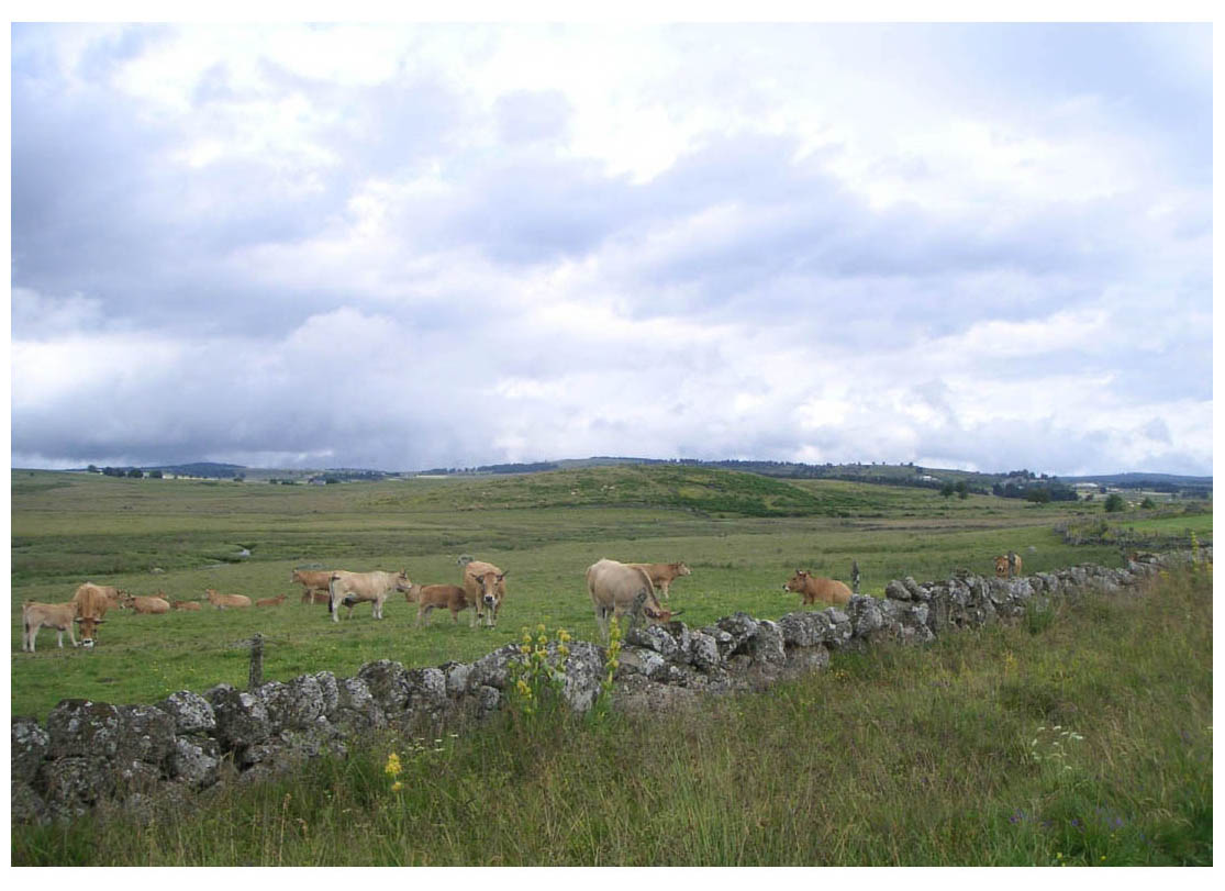 Camino de Santiago - photo 37