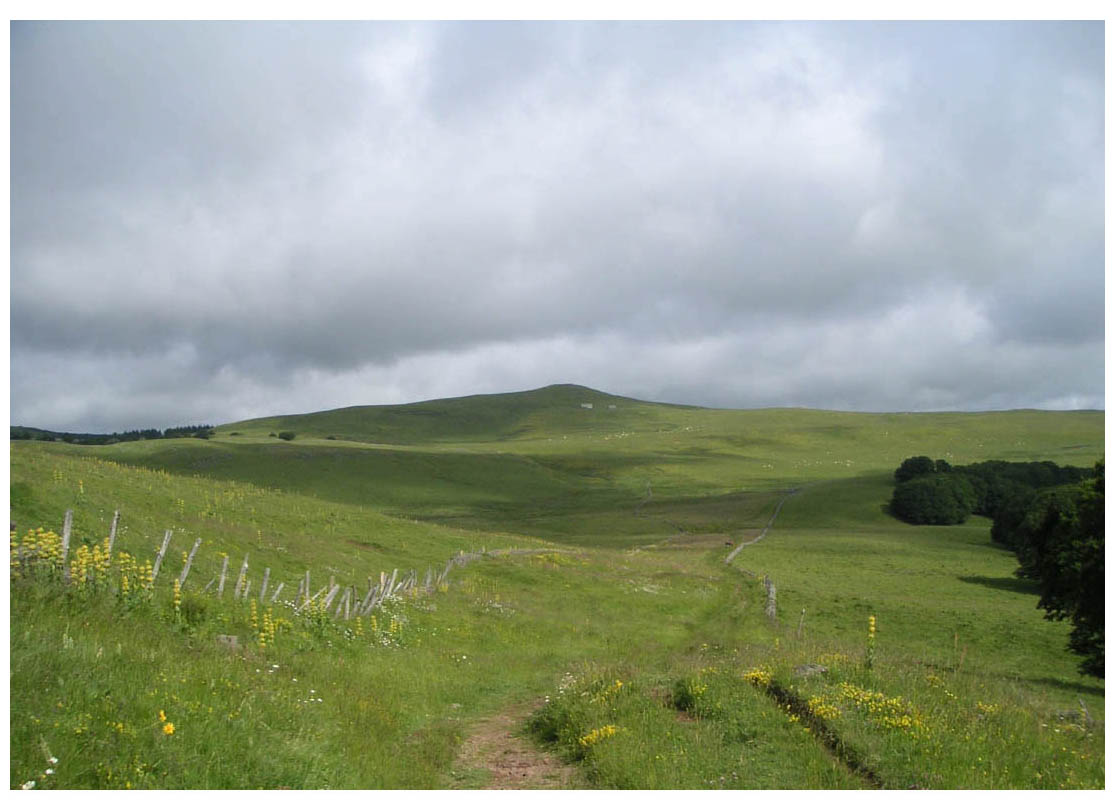 Camino de Santiago - photo 44