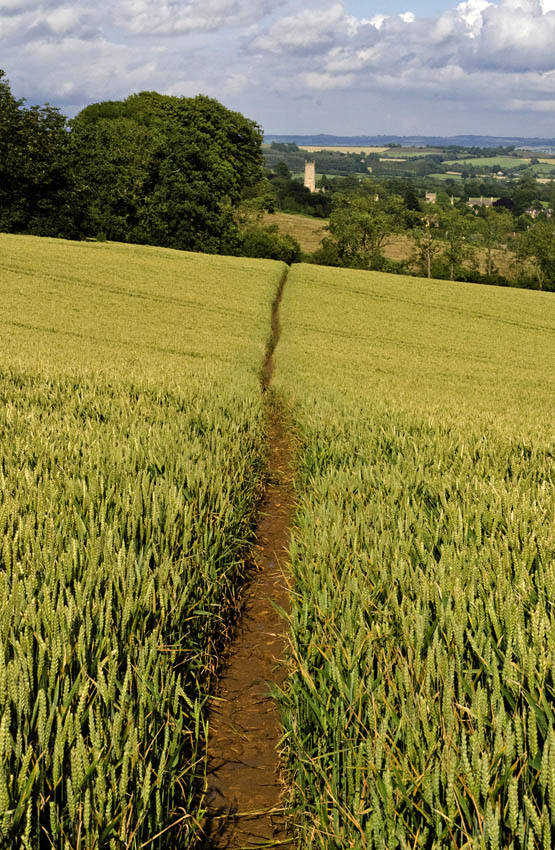 Aiming straight for Chipping Camden Walk 1 INTRODUCTION Views alon - photo 6