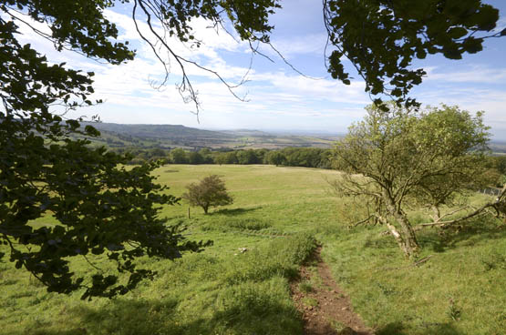 Coming downhill from the monument near Beckbury Camp Walk 5 Indeed the - photo 10