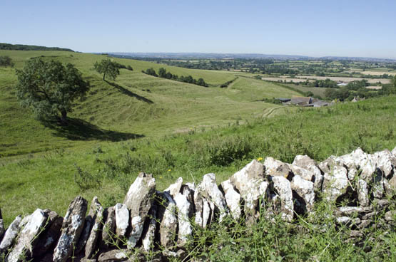 Views along the bottom of the Edge over a drystone wall on the way down to - photo 9