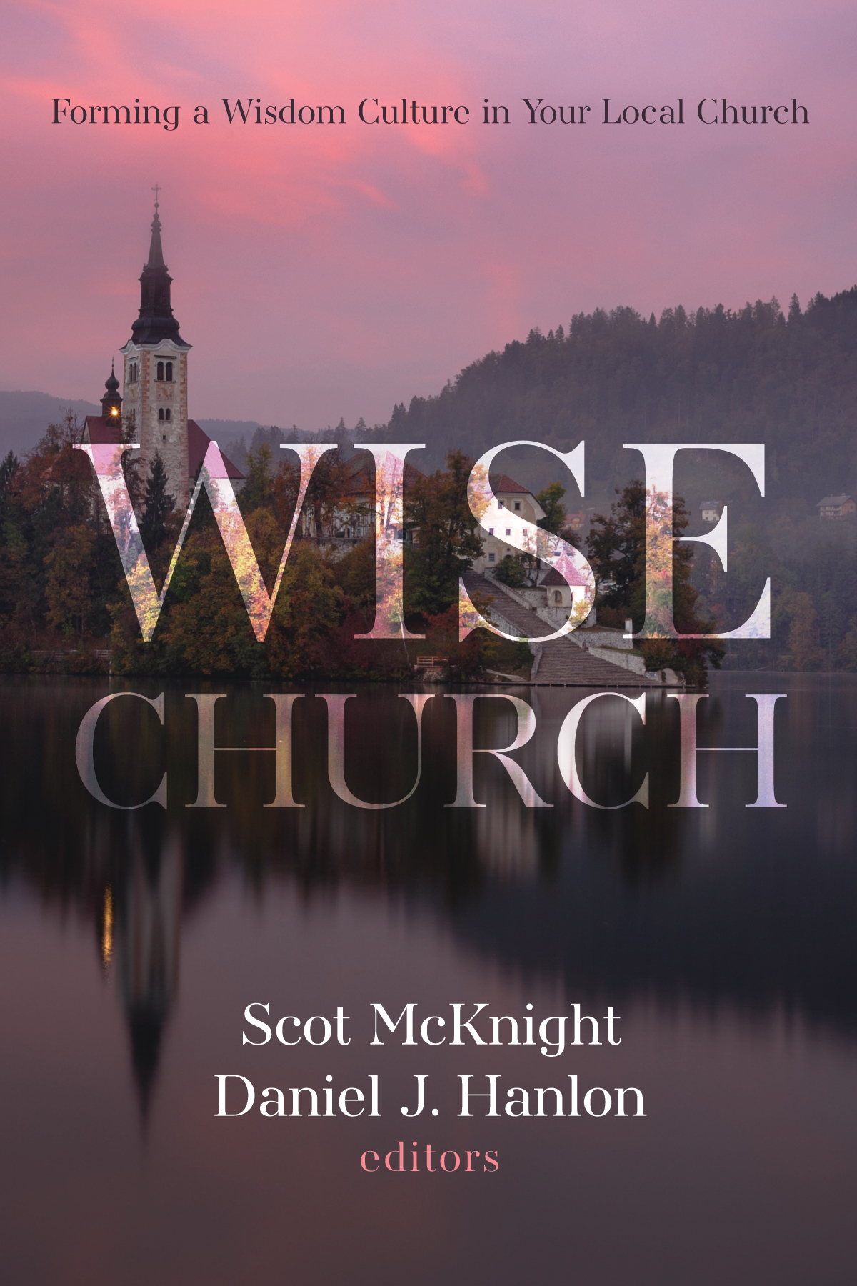 Wise Church Forming a Wisdom Culture in Your Local Church edited by Scot - photo 1