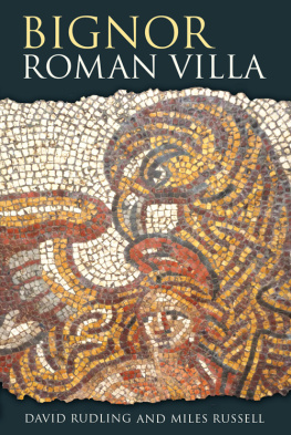 Miles Russell - Bignor Roman Villa