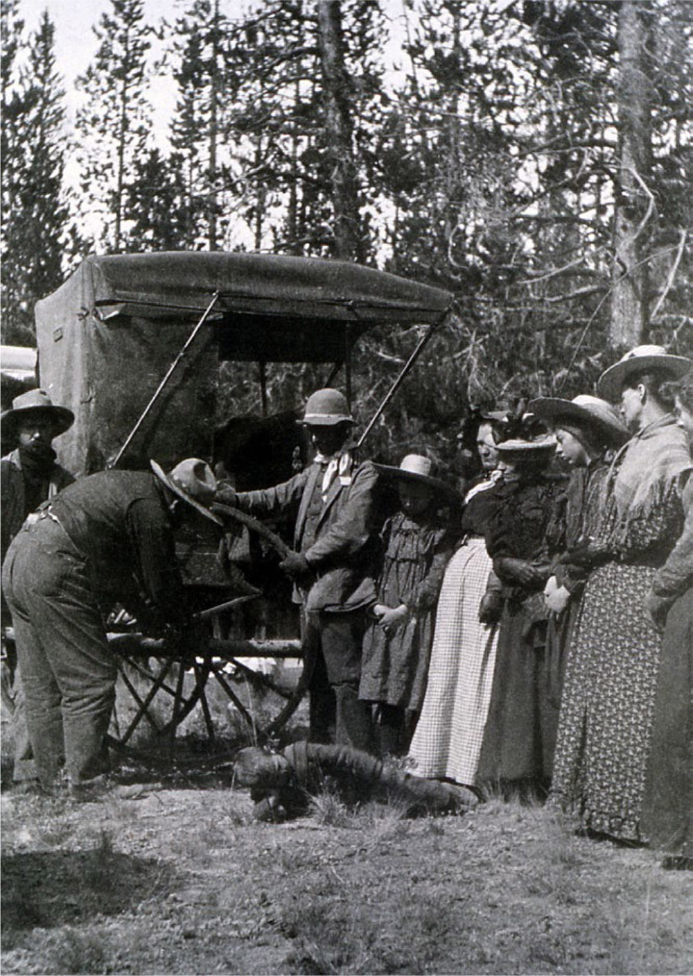 Travel in Yellowstone Park could be difficult as these tourists discovered when - photo 3