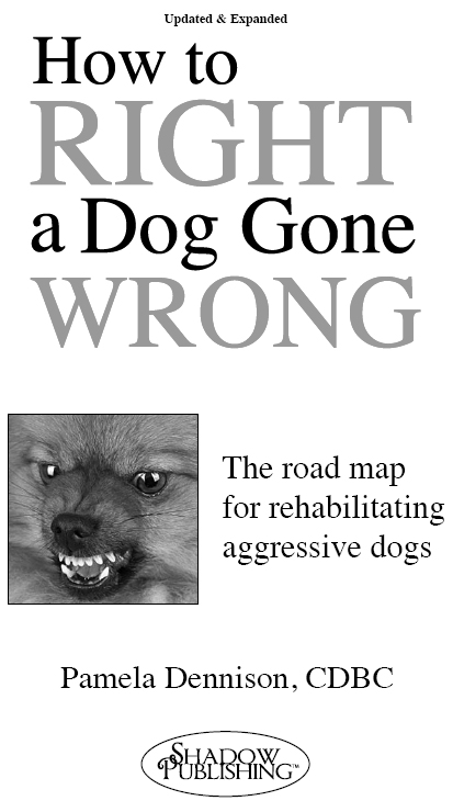 How to Right a Dog Gone Wrong The Road Map for Rehabilitating Aggressive Dogs - photo 2