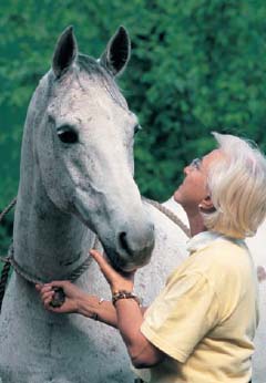 Getting in Ttouch with Your Horse How to Assess and Influence Personality Potential and Performance - photo 3