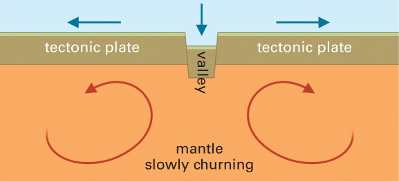 Valleys form where tectonic plates move apart Mountain-building While tectonic - photo 17