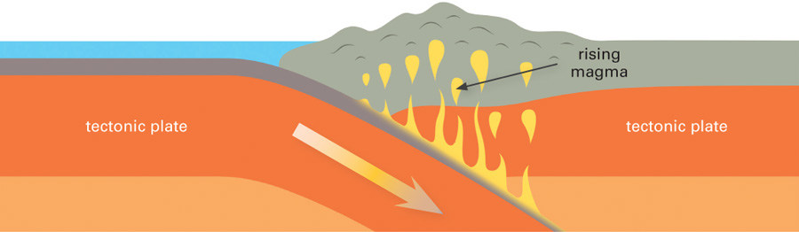 When tectonic plates collide one plate gets pushed under the other causing - photo 19