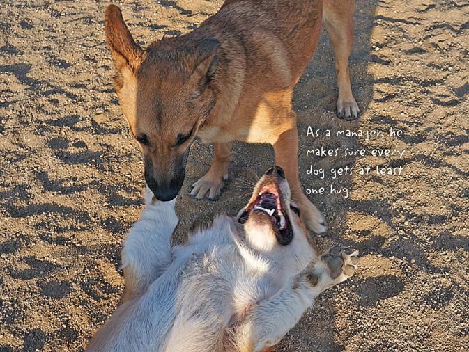 The Life of Corgnelius and Stumphrey The Cutest Corgis in the World - photo 21