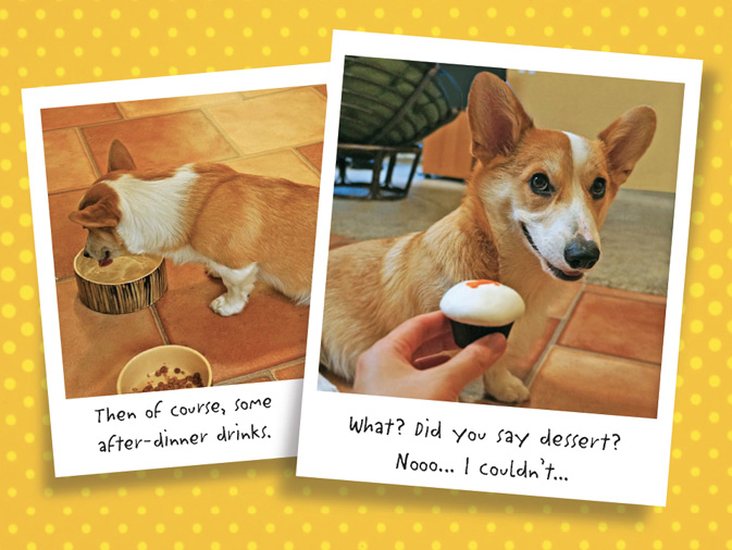 The Life of Corgnelius and Stumphrey The Cutest Corgis in the World - photo 41