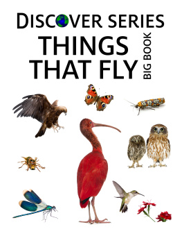 Xist Publishing - Things that Fly Big Book