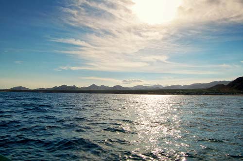 the Gulf coast near Cabo Pulmo Excursions If you have the time to - photo 14