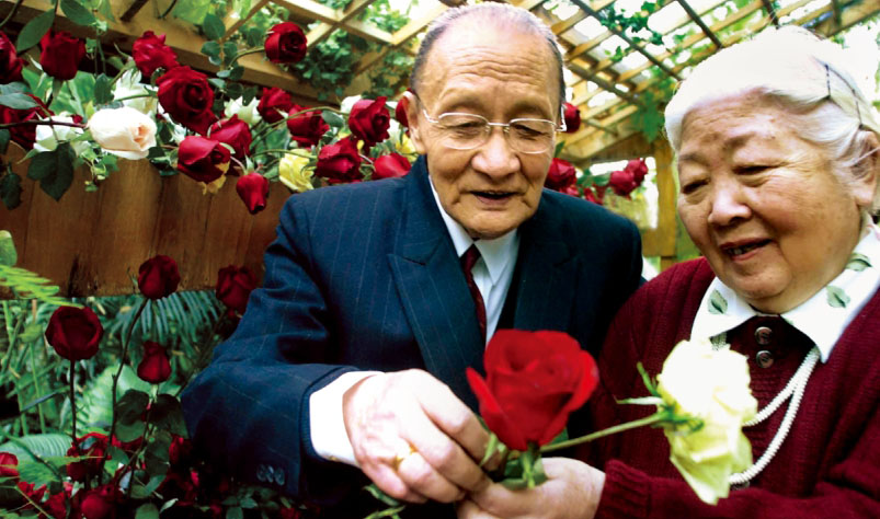 The couple of golden wedding are presenting roses to each other for a romantic - photo 8